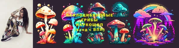 тгк Белокуриха