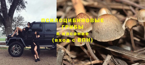 дмт Белоозёрский