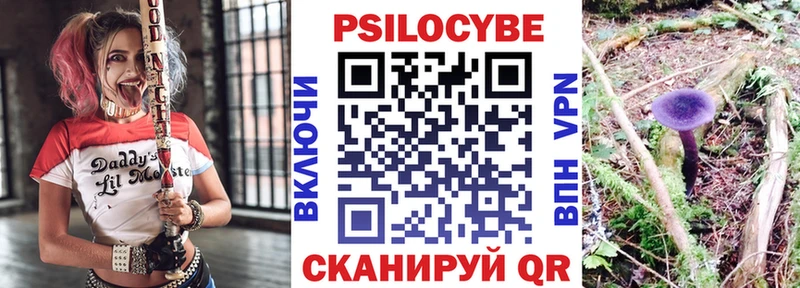 Псилоцибиновые грибы мухоморы  сайты даркнета официальный сайт  Енисейск  продажа наркотиков  kraken ССЫЛКА 